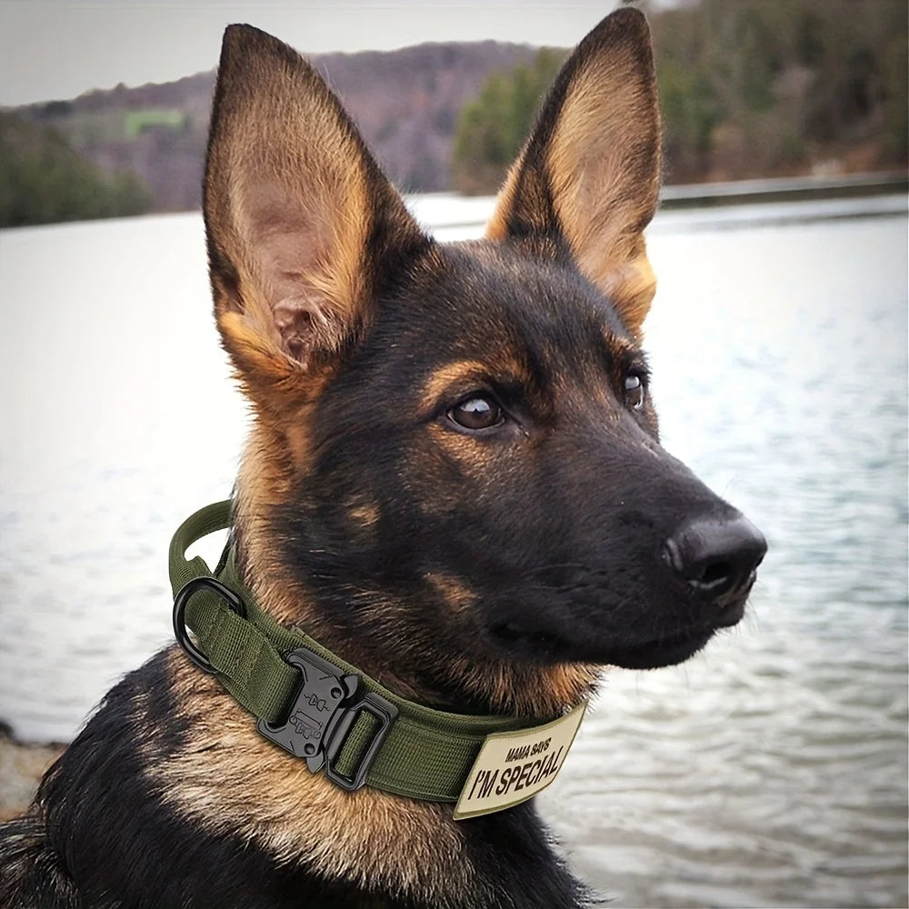 Tactical Dog Collar β Heavy Duty 1000D Nylon with Metal Buckle & Control Handle | Adjustable, Durable Training Collar for Medium & Large Dogs
